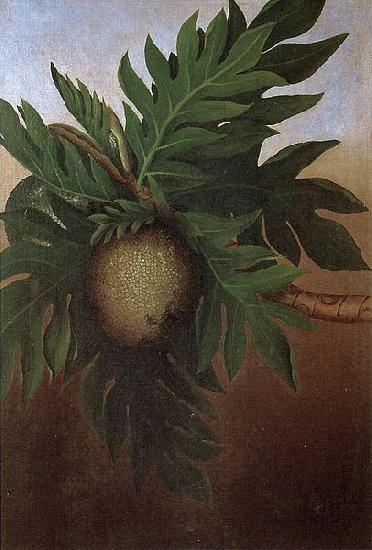 unknow artist Hawaiian Breadfruit, oil on canvas painting by Persis Goodale Thurston Taylor, c. 1890 oil painting image